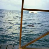  Caye Caulker, Belize